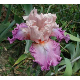 165. Хартбрейк Хотель