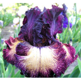 171. Эпицентр