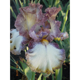 77. Микс Энд Мэч