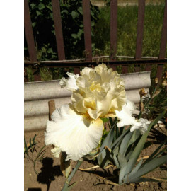 174. Берегиня